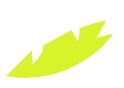 Green Leaf